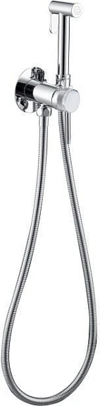 Гигиенический душ со смесителем Allen Brau Priority 5.31029-00 скрытый монтаж хром