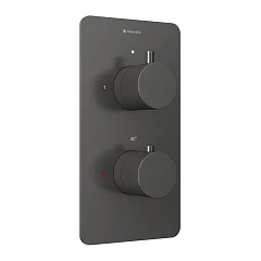 Термостат Aqueduto Aceno ACE0245 для ванны и душа скрытый монтаж на 2 потребителя оружейная сталь Термостат Aqueduto Aceno ACE0245 для ванны и душа скрытый монтаж на 2 потребителя оружейная сталь