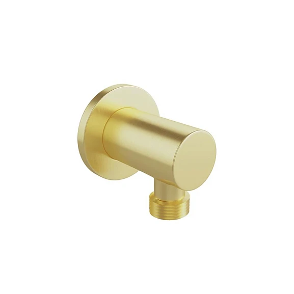 Шланговое подключение Aqueduto Aceno ACE1150 шлифованное золото