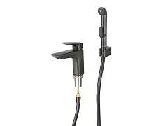 Смеситель Aquatek Вега AQ1012BGM для раковины оружейная сталь с гигиеническим ручным душем