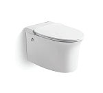 Подвесной унитаз Ceruttispa Nautilus Aria Pulse 38*62,5 импульсный смыв, сиденье дюропласт с микролифтом быстросъемное Подвесной унитаз Ceruttispa Nautilus Aria Pulse 38*62,5 импульсный смыв, сиденье дюропласт с микролифтом быстросъемное