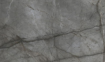 Root