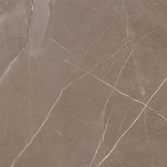 Керамогранит Global Tile Inspiro GT60601214MR 60*60 мокко матовый ректификат